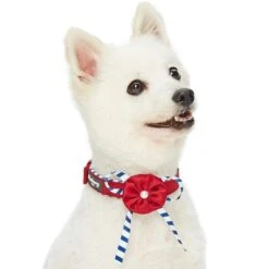 Nautical Dog Collars Summer Beach Stripe Dog Collar S M L -Dog & Cat Store 1340210049 2