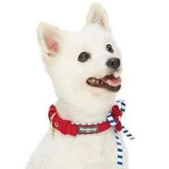 Nautical Dog Collars Summer Beach Stripe Dog Collar S M L -Dog & Cat Store 1340210049 3