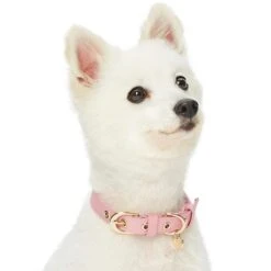 The Most Coveted Dog Collar With Bowtie And Pearl Chic -Dog & Cat Store 1340211046 3 2ca113b8 df35 43d5 81e1 39cec3c6e800
