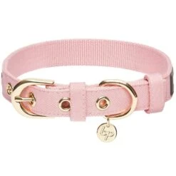 The Most Coveted Dog Collar With Bowtie And Pearl Chic -Dog & Cat Store 1340211046 4 ad58b6b3 616a 4c71 997c e11b9370b980