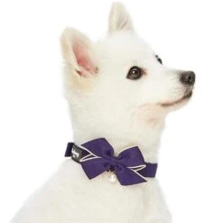 The Most Coveted Dog Collar With Bowtie And Pearl Chic -Dog & Cat Store 1340212043 2 a4ecc84f 7ef7 43fc ba10 660f7002ad4e