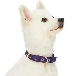 The Most Coveted Dog Collar With Bowtie And Pearl Chic -Dog & Cat Store 1340212043 3 1b8eb966 847f 4f20 8a96 d81efb5e782c