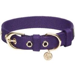The Most Coveted Dog Collar With Bowtie And Pearl Chic -Dog & Cat Store 1340212043 4 ed9db57d 52ef 4849 9594 a6c1625ad318