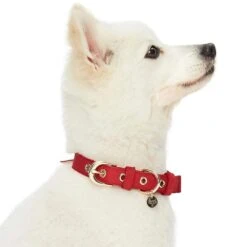 The Most Coveted Dog Collar With Bowtie And Pearl Chic -Dog & Cat Store 1340214047 3