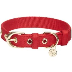 The Most Coveted Dog Collar With Bowtie And Pearl Chic -Dog & Cat Store 1340214047 4