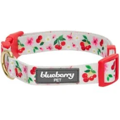 Cherry Blossom Dog Collar For Stylish Pet Adventures 35 Cherry Blossom Dog Collar For Stylish Pet Adventures -Dog & Cat Store 1340221045 1 1 16d78321 6cab 4b6c 9e1b 7de0af0891fe