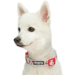 Cherry Blossom Dog Collar For Stylish Pet Adventures 36 Cherry Blossom Dog Collar For Stylish Pet Adventures -Dog & Cat Store 1340221045 2 1 1d336ed2 16e2 4486 a627 9780564b8075