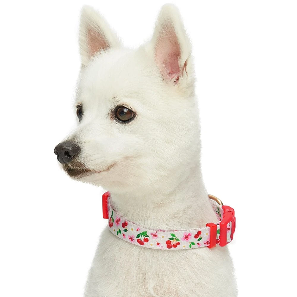 Cherry Blossom Dog Collar For Stylish Pet Adventures 18 Cherry Blossom Dog Collar For Stylish Pet Adventures - Image 18