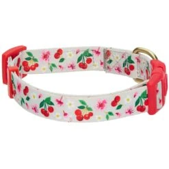 Cherry Blossom Dog Collar For Stylish Pet Adventures 38 Cherry Blossom Dog Collar For Stylish Pet Adventures -Dog & Cat Store 1340221045 4 1 f3bbf9ce 1ee0 475a 9fc3 aa14f0783ed7