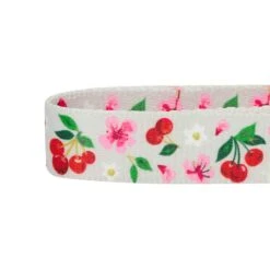 Cherry Blossom Dog Collar For Stylish Pet Adventures 39 Cherry Blossom Dog Collar For Stylish Pet Adventures -Dog & Cat Store 1340221045 5 1 ec755e0e aec2 4249 bb10 9a5d55e76f86