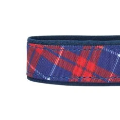 Plaid Pattern Neoprene Padded Dog Collar For Stylish Pets -Dog & Cat Store 1340224046 5 1 9969c533 ce80 4a84 9b21 d7402980580f