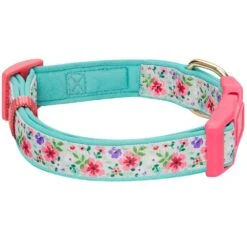 Floral Prints Neoprene Padded Dog Collar For Stylish Pets -Dog & Cat Store 1340225043 4 1 7715cb41 a745 4cd2 a28c 91d965801211