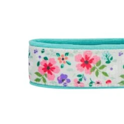 Floral Prints Neoprene Padded Dog Collar For Stylish Pets -Dog & Cat Store 1340225043 5 1 3cc83aff 2331 4902 9416 d3c88593c324