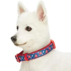 Floral Prints Neoprene Padded Dog Collar For Stylish Pets -Dog & Cat Store 1340226040 3 2 4eb90763 d617 44bf 9d99 78c50f479ab5