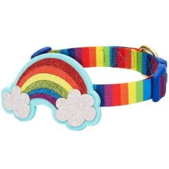 The Perfect Rainbow Dog Collar For Chic Pups And Seniors -Dog & Cat Store 1340227047 3