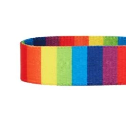 The Perfect Rainbow Dog Collar For Chic Pups And Seniors -Dog & Cat Store 1340227047 4
