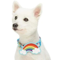 The Perfect Rainbow Dog Collar For Chic Pups And Seniors -Dog & Cat Store 1340228044 2