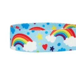 The Perfect Rainbow Dog Collar For Chic Pups And Seniors -Dog & Cat Store 1340228044 4