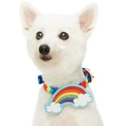Rainbow Ripple Dream Dog Collar For Stylish Pets -Dog & Cat Store 1340229041 2