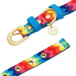 Rainbow Ripple Dream Dog Collar For Stylish Pets -Dog & Cat Store 1340229041 4