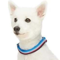 Multi-Colored Stripe Dog Collar For Stylish Pets -Dog & Cat Store 1340230047 3