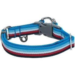 Multi-Colored Stripe Dog Collar For Stylish Pets -Dog & Cat Store 1340230047 4