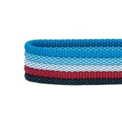 Multi-Colored Stripe Dog Collar For Stylish Pets -Dog & Cat Store 1340230047 5