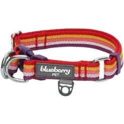 Multi-Colored Stripe Dog Collar For Stylish Pets -Dog & Cat Store 1340231044 1
