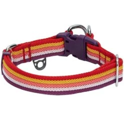 Multi-Colored Stripe Dog Collar For Stylish Pets -Dog & Cat Store 1340231044 4
