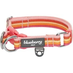 Multi-Colored Stripe Dog Collar For Stylish Pets -Dog & Cat Store 1340232041 1