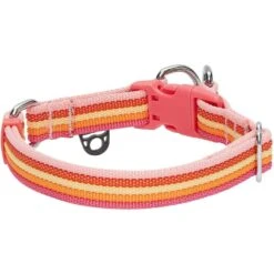 Multi-Colored Stripe Dog Collar For Stylish Pets -Dog & Cat Store 1340232041 4