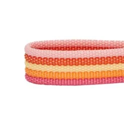 Multi-Colored Stripe Dog Collar For Stylish Pets -Dog & Cat Store 1340232041 5