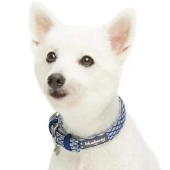 Diamond Pattern Padded Dog Collar For Comfort And Style -Dog & Cat Store 1340233048 3