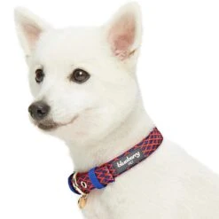 Diamond Pattern Padded Dog Collar For Comfort And Style -Dog & Cat Store 1340234045 3