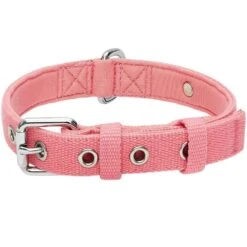 New Classic Modern Iconic Neoprene Padded Dog Collar -Dog & Cat Store 1340237046 1 6a87b424 f59c 419e 8103 8dc374f41461