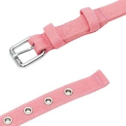 New Classic Modern Iconic Neoprene Padded Dog Collar -Dog & Cat Store 1340237046 5 91cf8bf2 66d1 49d9 a86b ef5c65f1c43e