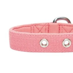 New Classic Modern Iconic Neoprene Padded Dog Collar -Dog & Cat Store 1340237046 6