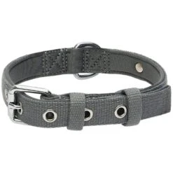 New Classic Modern Iconic Neoprene Padded Dog Collar -Dog & Cat Store 1340238043 1 3b4d713c 0052 40a8 8275 0beb6eee2cbc
