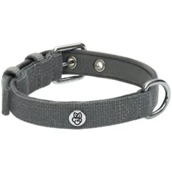 New Classic Modern Iconic Neoprene Padded Dog Collar -Dog & Cat Store 1340238043 4 47e59845 991a 4f5c abd0 4486baa5680c