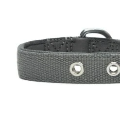 New Classic Modern Iconic Neoprene Padded Dog Collar -Dog & Cat Store 1340238043 6