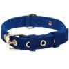 New Classic Modern Iconic Neoprene Padded Dog Collar