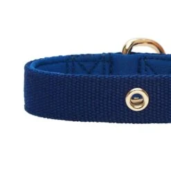 New Classic Modern Iconic Neoprene Padded Dog Collar -Dog & Cat Store 1340239040 6