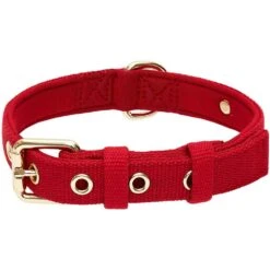 New Classic Modern Iconic Neoprene Padded Dog Collar -Dog & Cat Store 1340240046 1 9c138cf6 6770 4b4d 8691 4a18dc57609d