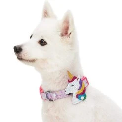 Flamingo Unicorn Dog Collar Tropical Hawaiian Palm Leaves -Dog & Cat Store 1340241043 2