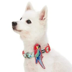 Flamingo Unicorn Dog Collar Tropical Hawaiian Palm Leaves -Dog & Cat Store 1340242040 2
