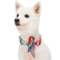 Flamingo Unicorn Dog Collar Tropical Hawaiian Palm Leaves -Dog & Cat Store 1340242040 3
