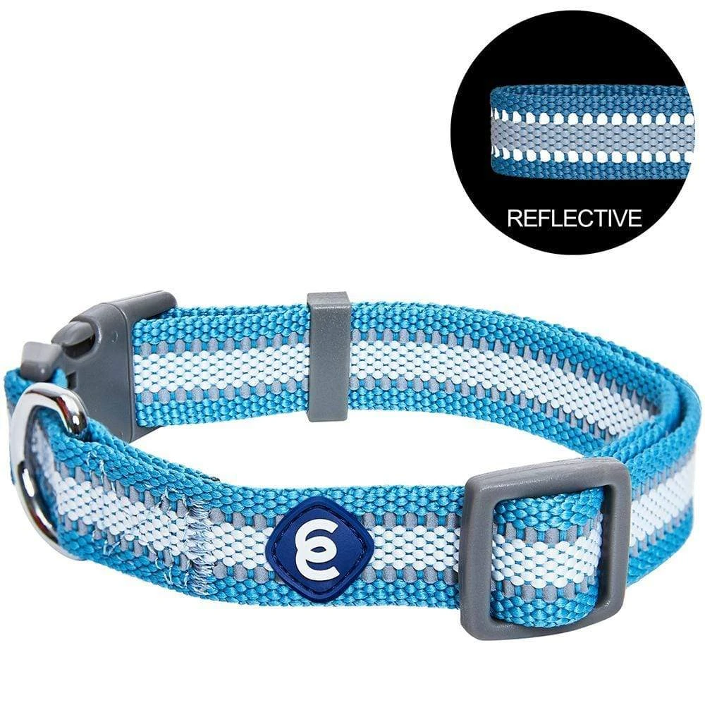 Back To Basics Reflective Dog Collar For Safety And Style 8 Back To Basics Reflective Dog Collar For Safety And Style - Image 8
