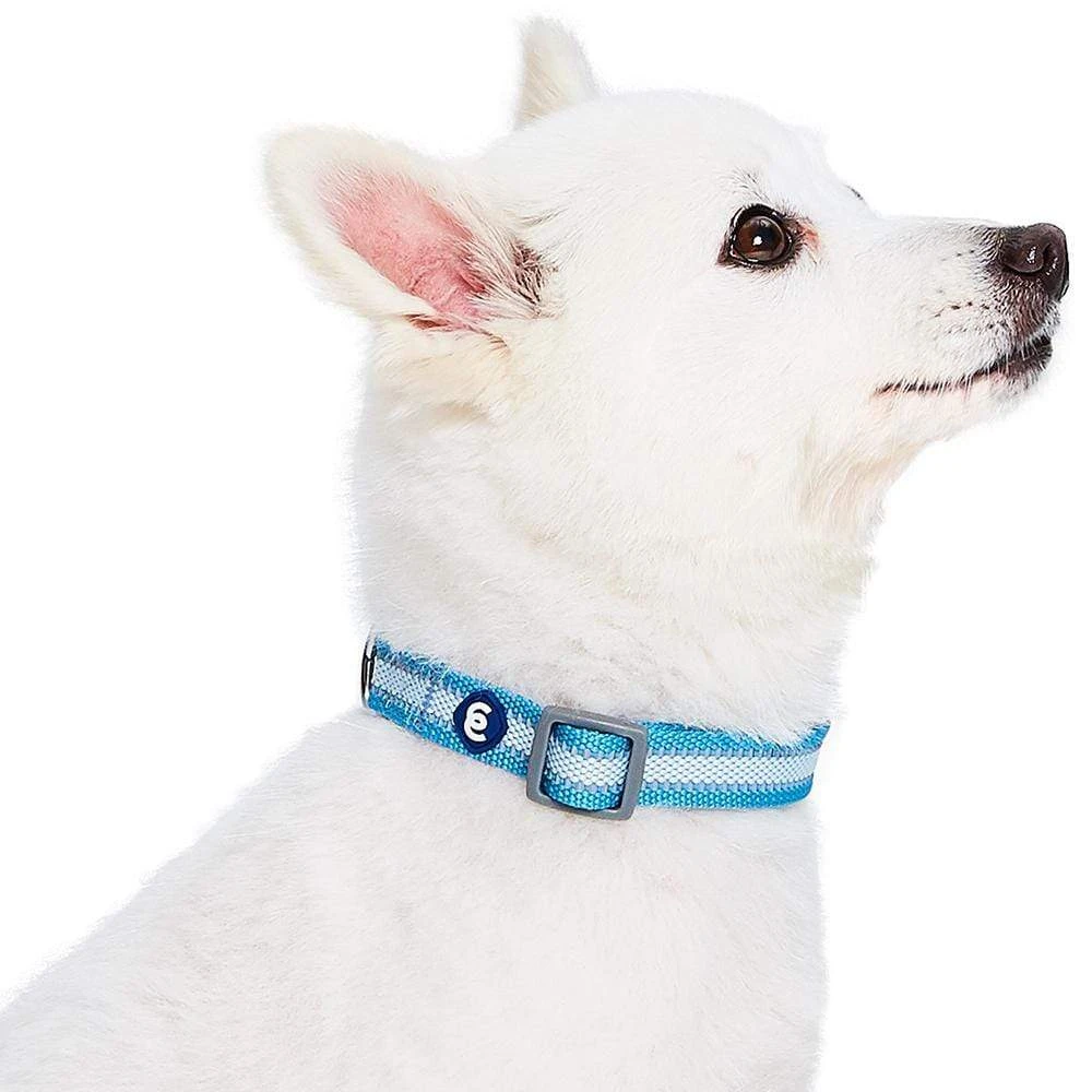 Back To Basics Reflective Dog Collar For Safety And Style 9 Back To Basics Reflective Dog Collar For Safety And Style - Image 9