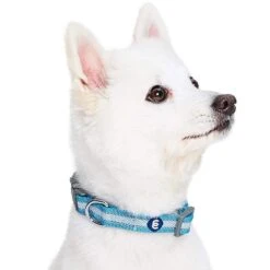 Back To Basics Reflective Dog Collar For Safety And Style 29 Back To Basics Reflective Dog Collar For Safety And Style -Dog & Cat Store 1340243047 3 8d688d55 e70c 45d9 94a3 083298e69c08