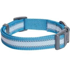 Back To Basics Reflective Dog Collar For Safety And Style 30 Back To Basics Reflective Dog Collar For Safety And Style -Dog & Cat Store 1340243047 4